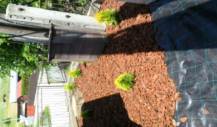 18. fotografia fotogalérie Úprava pozemku pred obecným úradom