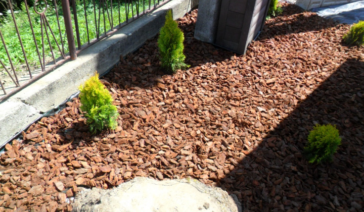 19. fotografia fotogalérie Úprava pozemku pred obecným úradom